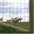 Factory price high quality grassland hinged joint fence for goat deer sheep cattle